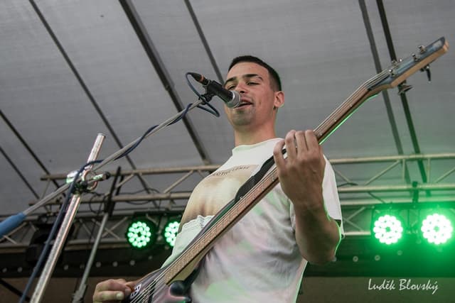Neverending Light koncert Punks For Dogs
